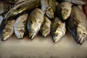 DIF Ahome arranca mañana entrega de apoyos alimentarios por “Cuaresma DIFerente”